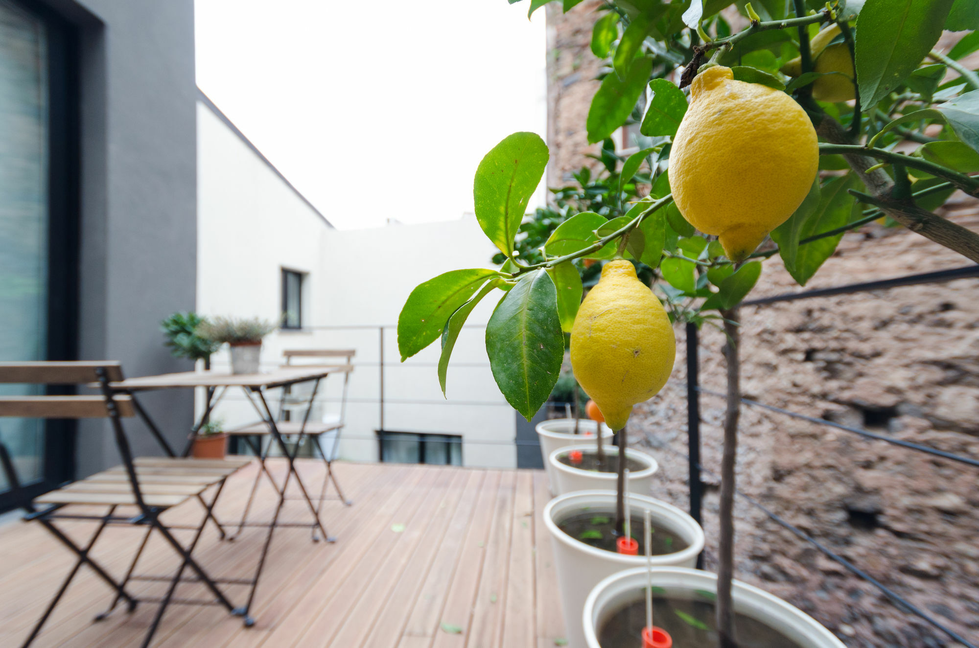 Pietranera Apartments Катания Экстерьер фото